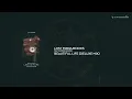 Lost Frequencies feat. Sandro Cavazza - Beautiful Life (Deluxe Mix)