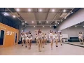Download Lagu SISTAR (씨스타) - SHAKE IT Dance Practice Ver. (Mirrored)