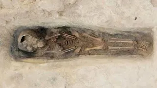 كل من عليها فان حالة واتس قران كريم 