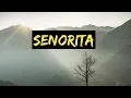 Download Lagu Señorita (Full Audio Song) | Shawn Mendes | Camila Cabello