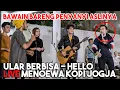 Download Lagu ULAR BERBISA - HELLO (LIVE) MENOEWA KOPI JOGJA FT. TRI SUAKA, NABILA, ASTRONI, ADLANI