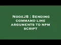 NodeJS Sending command line arguments to npm script