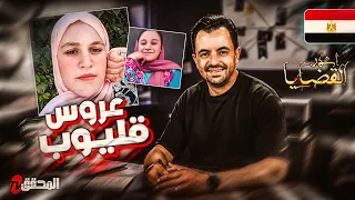 المحقق أشهر القضايا العربية عروس قليوب 