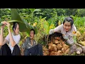 Download Lagu Cú ngã bất ngờ: Cô gái 17 tuổi và giỏ khoai môn khổng lồ / SUNG A PAO