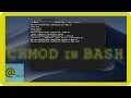 Add Execute Permissions to Shell Script