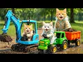 Lagu Mama Cat Trims Fur on the Farm and Makes Tiger Hat For Kittens At Home🐾🎩🐯