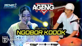 ngobor kodok elsa amelia ageng music live remsi 2026