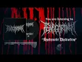 Download Lagu TENGGOROKAN - Systematic Destruction (2024 NEW SINGLE)