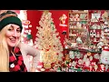 Video di Christmas-Obsessed Woman Keeps Up Decorations All Year Round