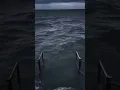 Download Lagu Original Ocean Background Meme