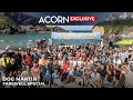 Acorn TV Exclusive Doc Martin Farewell Special Trailer