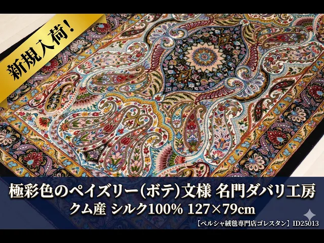 ダバリ工房 華麗なペイズリー（ボテ）多彩×黒 79×127cm (ID25013)