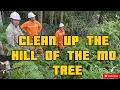 Lagu Unbelievable! A Whole Hill of Giant Trees Cleared in Just One Day!