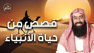 نبيل العوضي قصص الأنبياء قصص اولي العزم من الرسل ولماذا يطلق عليهم هذا الاسم 