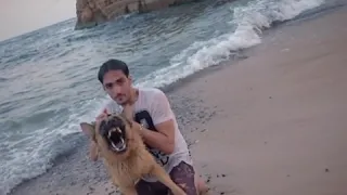 عندي كلب يجري معسكر فيجوه دندنها