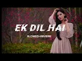 Download Lagu Ek Dil Hai - [Slowed+Reverb] Ek Rishtaa | Akshay Kumar, Karisma Kapoor | Hindi Romantic Song