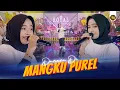 Download Lagu DAMARA DE - MANGKU PUREL ( Official Live Video )