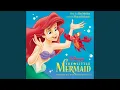 Download Lagu Part of Your World (Reprise)