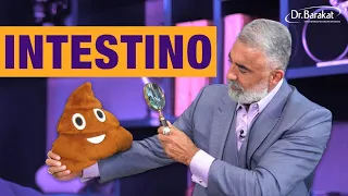 INTESTINO: Sofre Com Diarreia, Prisão De Ventre E Até Depressão? Saiba Como Cuidar Do Seu 2º Cérebro