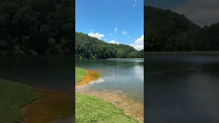 Shade Tree Lane - Lake
