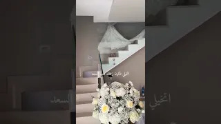 زفات 2025 زفات 2026 زفات ٢٠٢٦ زفات ٢٠٢٥ زفة 2026 استديو زفاف دندني لتنفيذ جميع الزفات 