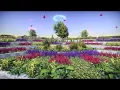 Plants and trees in Unity engine