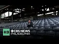 What is the best seat for a Phillies game at Citizens Bank Park Pat Gallen finds out
