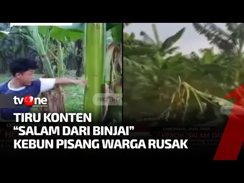 Terinspirasi Konten "Salam dari Binjai", Bocah di Lamongan Rusak 50 Pohon Pisang