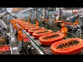Inside a Modern Papaya Factory: From Farm to Dessert (The Whole Process)