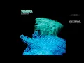 TOMORA, AURORA & Tom Rowlands - CELEBRATION