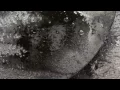 HVOB - Oxid (Official Video)