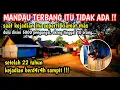 Download Lagu Saksi hidup kerusuhan Sampit  di Sampang !!! Seperti kiamat mas