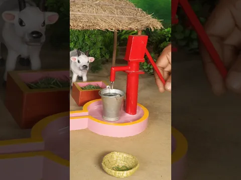 Gave fodder and water to the small cow || mini hand pump