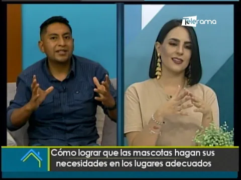 Cómo lograr que las mascotas hagan sus necesidades en los lugares adecuados