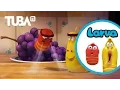 Download Lagu [Official] Bubble - LARVA Season 2 Episode 2 - Comedy 3D Animation