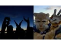 The BYU Student Experience - with Stacey Harkey