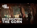 Download Lagu Declassifying the Gorn | Star Trek: Strange New Worlds