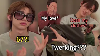 cortis wildest live ever