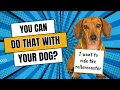 Your Ultimate Guide to Dog-Friendly Branson Missouri Adventures