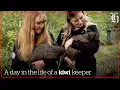 Download Lagu A day in the life of a kiwi keeper | Local Focus