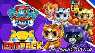 PAW PATROL CAT PACK LA PELICULA | RESUMEN EN 13 MINUTOS