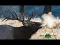 Yellowstone in the Fall 7 Things to Know