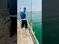 Download Lagu Wow mancing monster besar #fishing #predatorrawa #bassfishing #mancingrawa #vidioshort #shortvideo