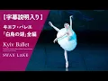 【字幕説明入り】ウクライナ国立バレエ(旧キエフ・バレエ)「白鳥の湖」全編 KYIV BALLET/SWAN LAKE