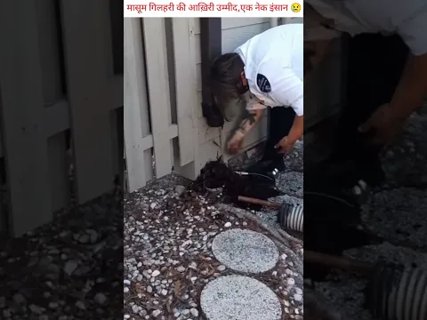 कीचड़ भरे पाइप के अंदर फँसी नन्ही जान😭