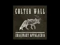 Sleeping on the Blacktop (Audio) - Colter Wall