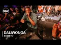 Download Lagu Daliwonga | Boiler Room x Ballantines's True Music Studios: Soweto