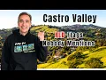 Is Castro Valley Actually Worth It What Nobody Tells You Before You Buy