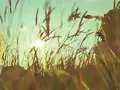 Mitch Rowland - Come June (Official Visualizer)