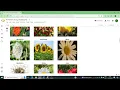Image Classification model using TensorFlow and Keras Flower recognition model
